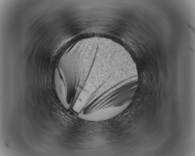 X0000097840872200804041441