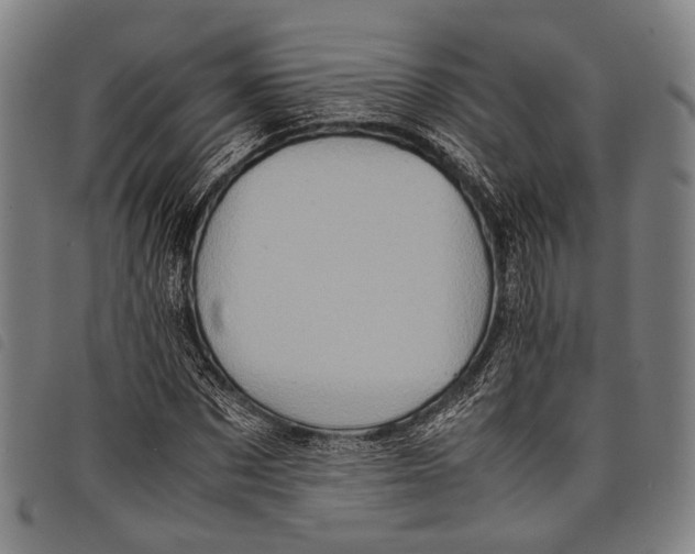 X0000097840873200804041441