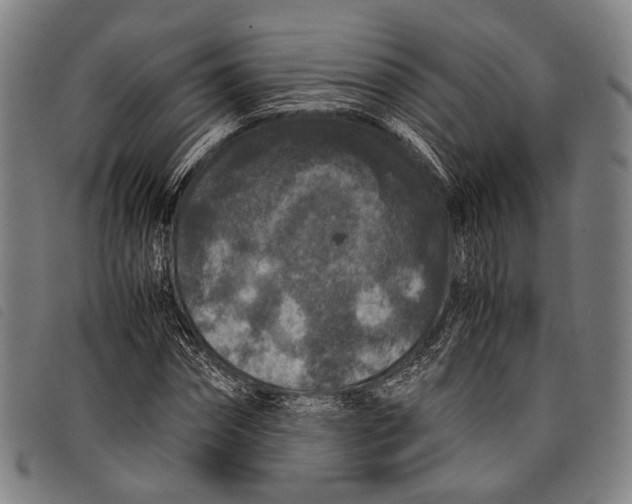 X0000097840874200804041441