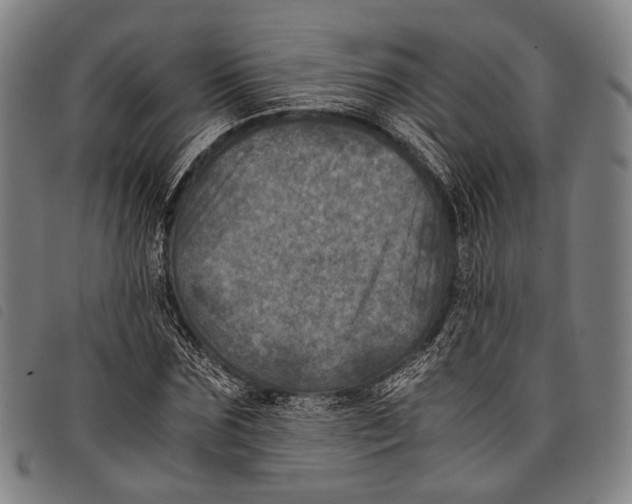 X0000097840875200804041441