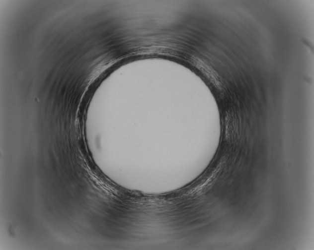 X0000097840876200804041441