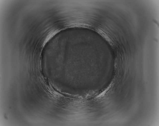 X0000097840877200804041441