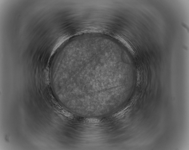 X0000097840878200804041441