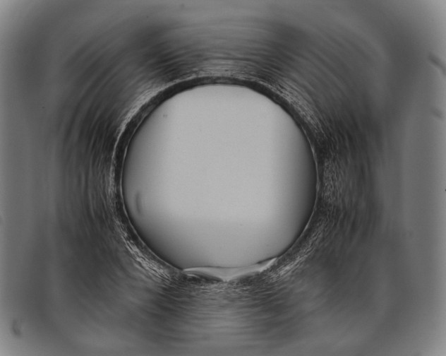 X0000097840880200804041441