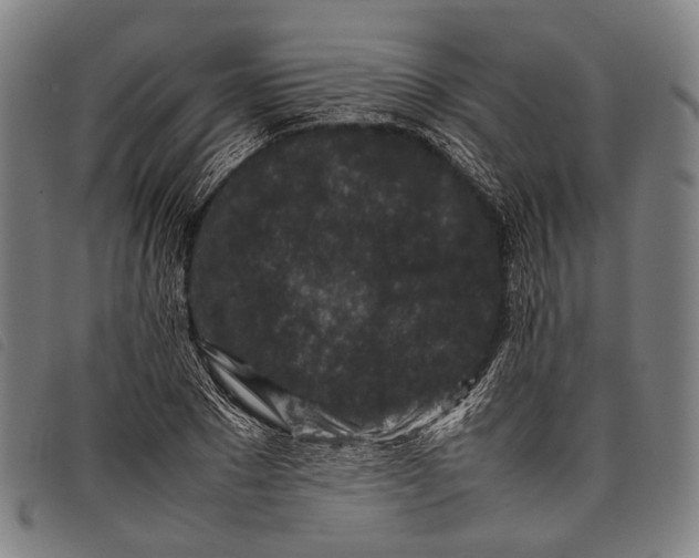 X0000097840881200804041441