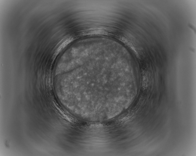 X0000097840882200804041441
