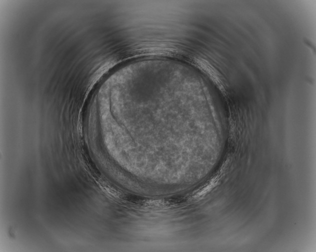 X0000097840883200804041441