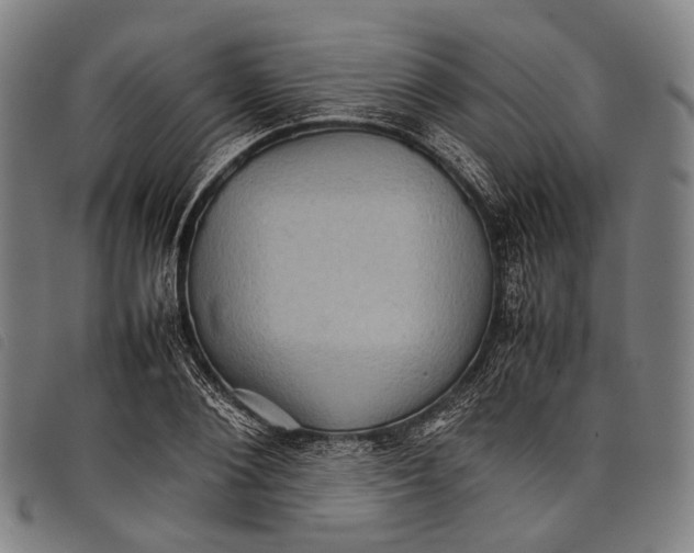 X0000097840884200804041441