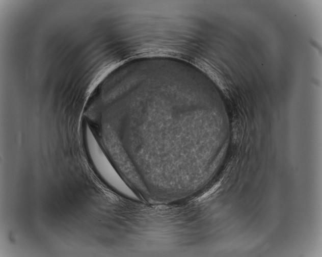 X0000097840885200804041441