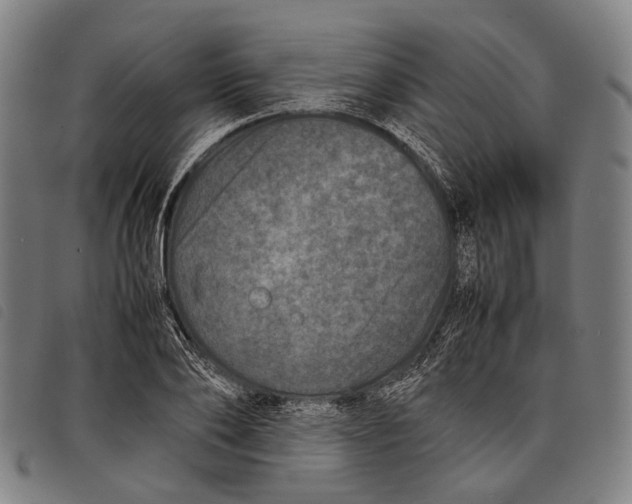 X0000097840886200804041441