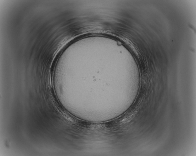 X0000097840887200804041441