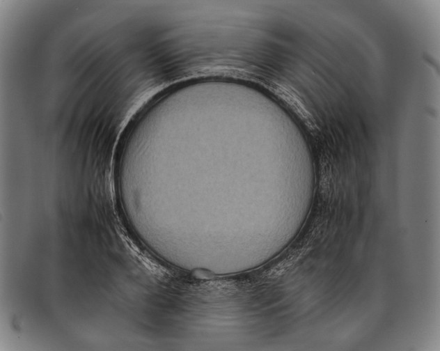 X0000097840888200804041441