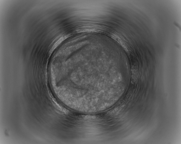 X0000097840890200804041441