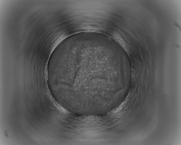 X0000097840891200804041441