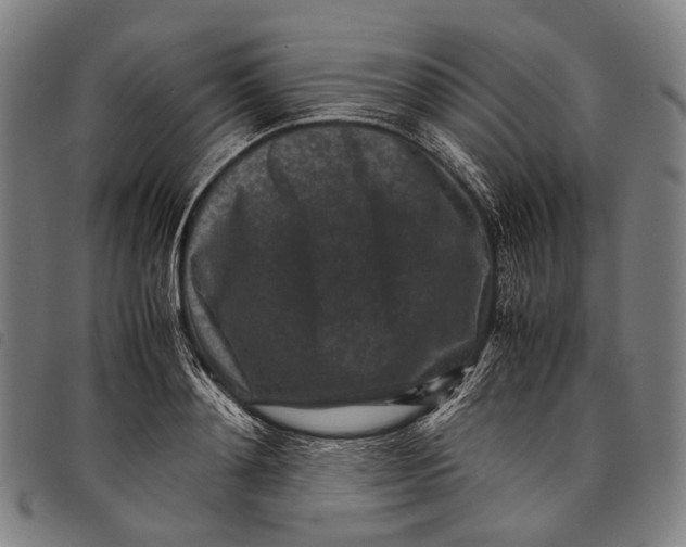X0000097840892200804041441
