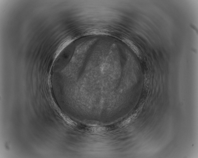 X0000097840893200804041441