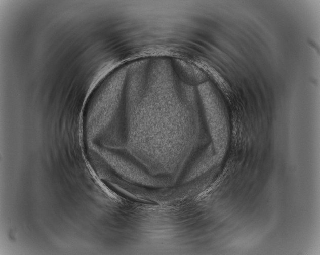 X0000097840894200804041441