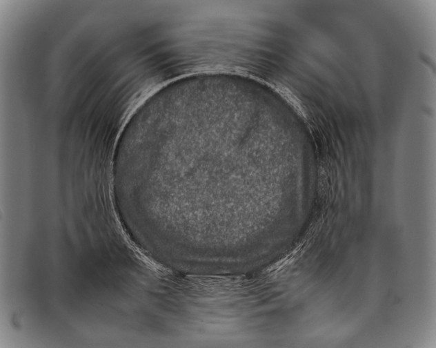 X0000097840895200804041441