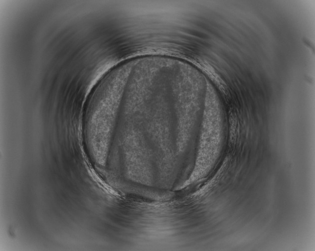 X0000097840896200804041441