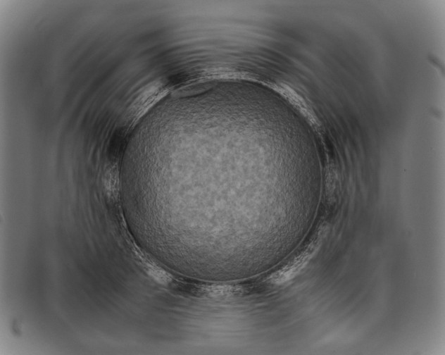 X0000097840897200804041441