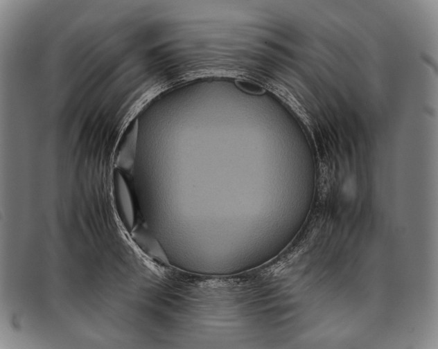 X0000097840898200804041441