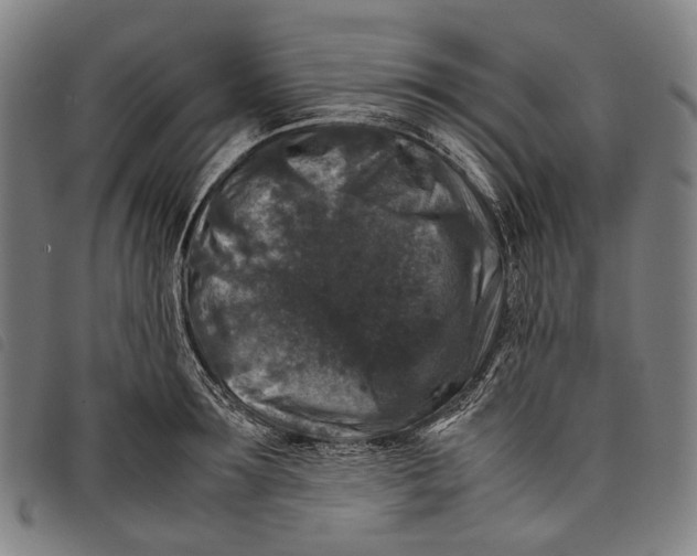 X0000097840899200804041441