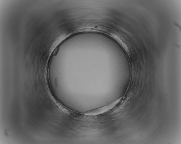 X0000097840901200804041441
