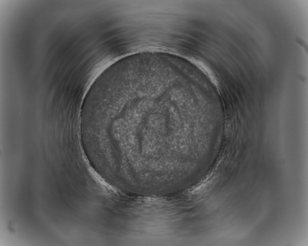 X0000097840903200804041441