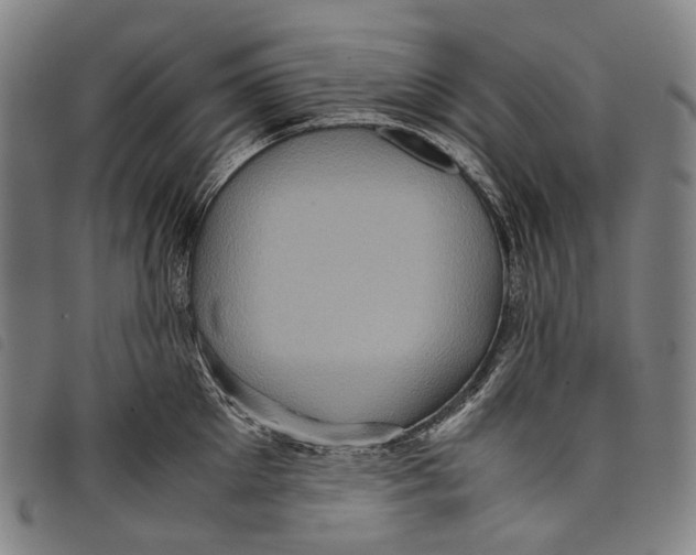 X0000097840905200804041441