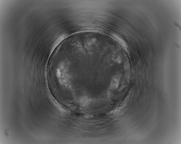 X0000097840907200804041441