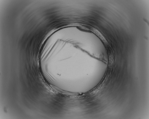 X0000097840908200804041441