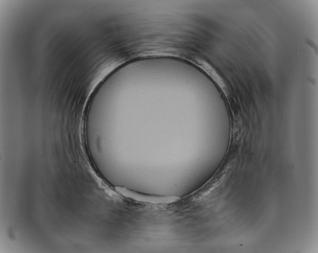 X0000097840909200804041441