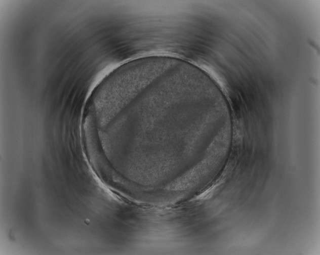 X0000097840910200804041441