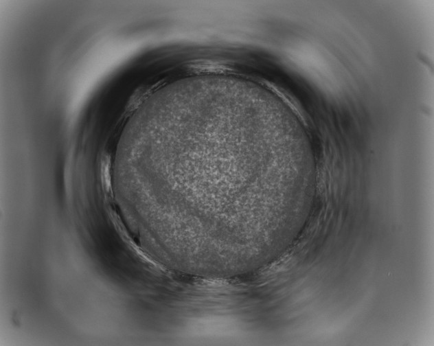 X0000097840911200804041441