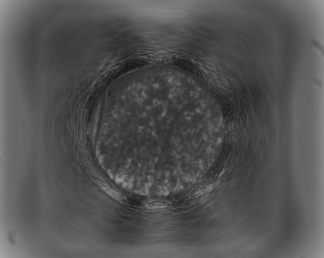 X0000097840913200804041440