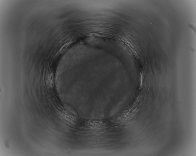 X0000097840915200804041440