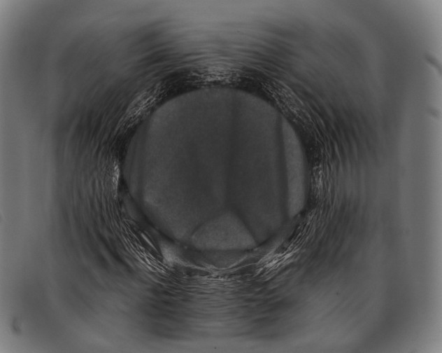 X0000097840916200804041440