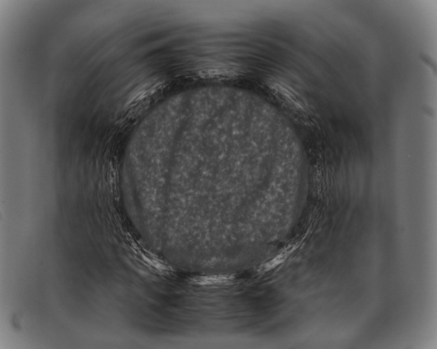 X0000097840917200804041440