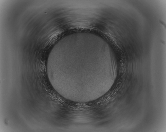 X0000097840918200804041440