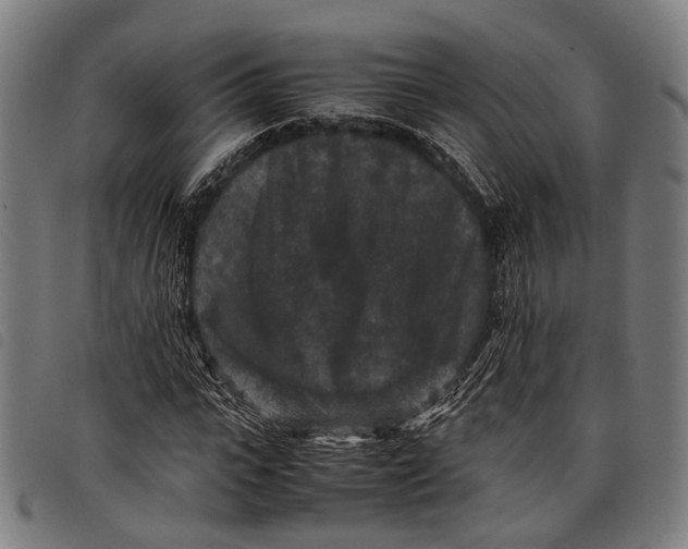 X0000097840919200804041440