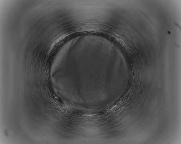 X0000097840920200804041440