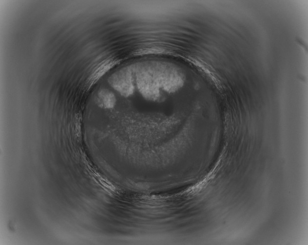 X0000097840921200804041440