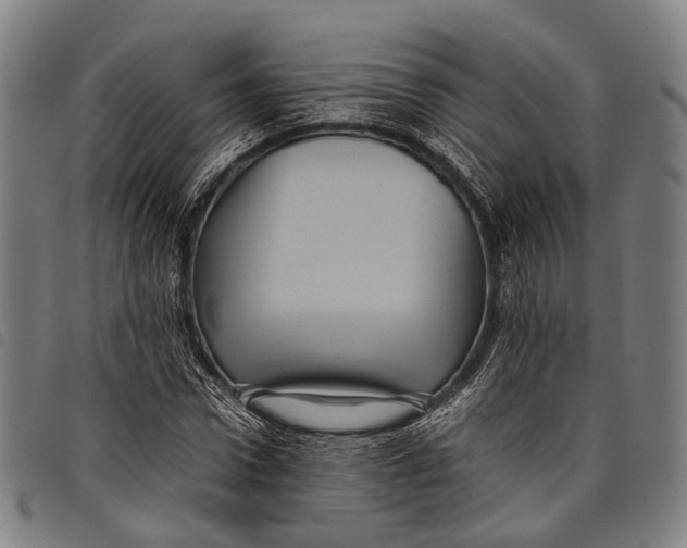 X0000097840922200804041440