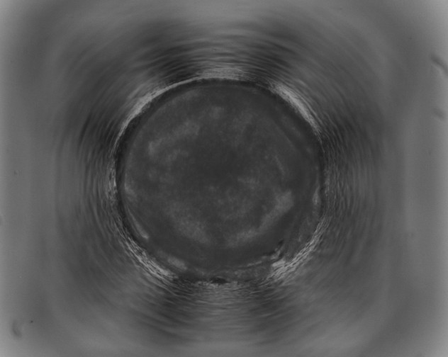 X0000097840923200804041440