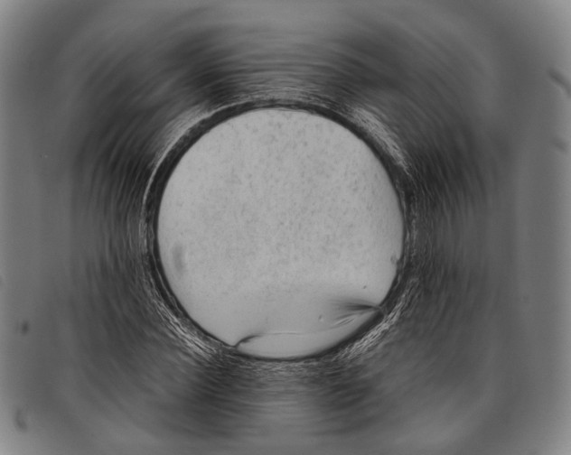 X0000097840924200804041440