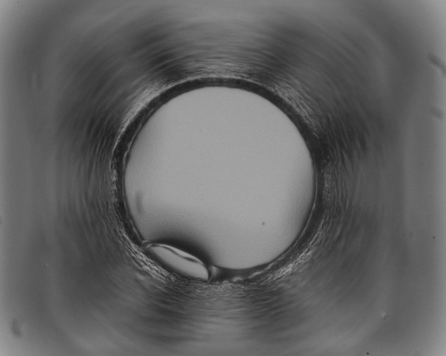 X0000097840926200804041440