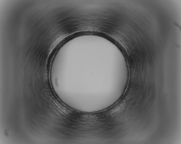 X0000097840927200804041440