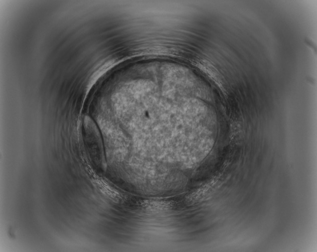 X0000097840928200804041440