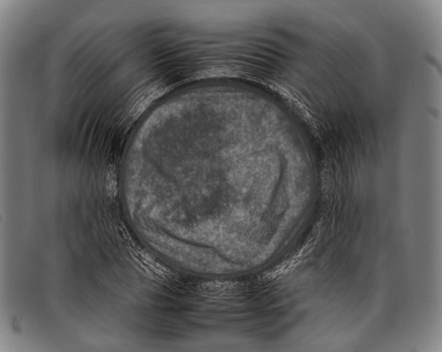 X0000097840929200804041440