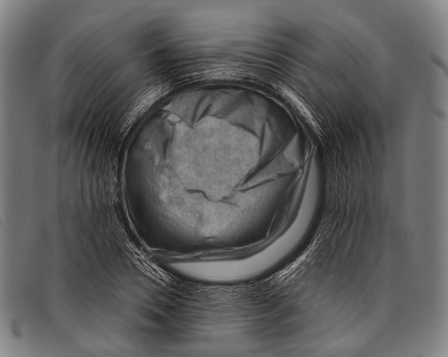 X0000097840930200804041440